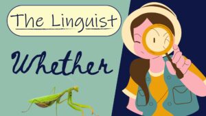 colorful english conditionals presentation (1)