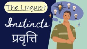 colorful english conditionals presentation